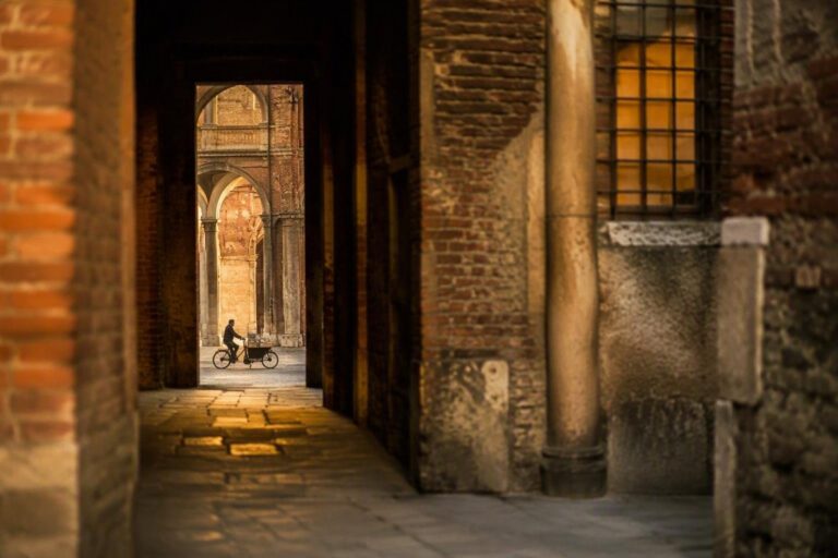 Infortunio sul lavoro per ciclofattorina: il caso che fa scuola in Italia