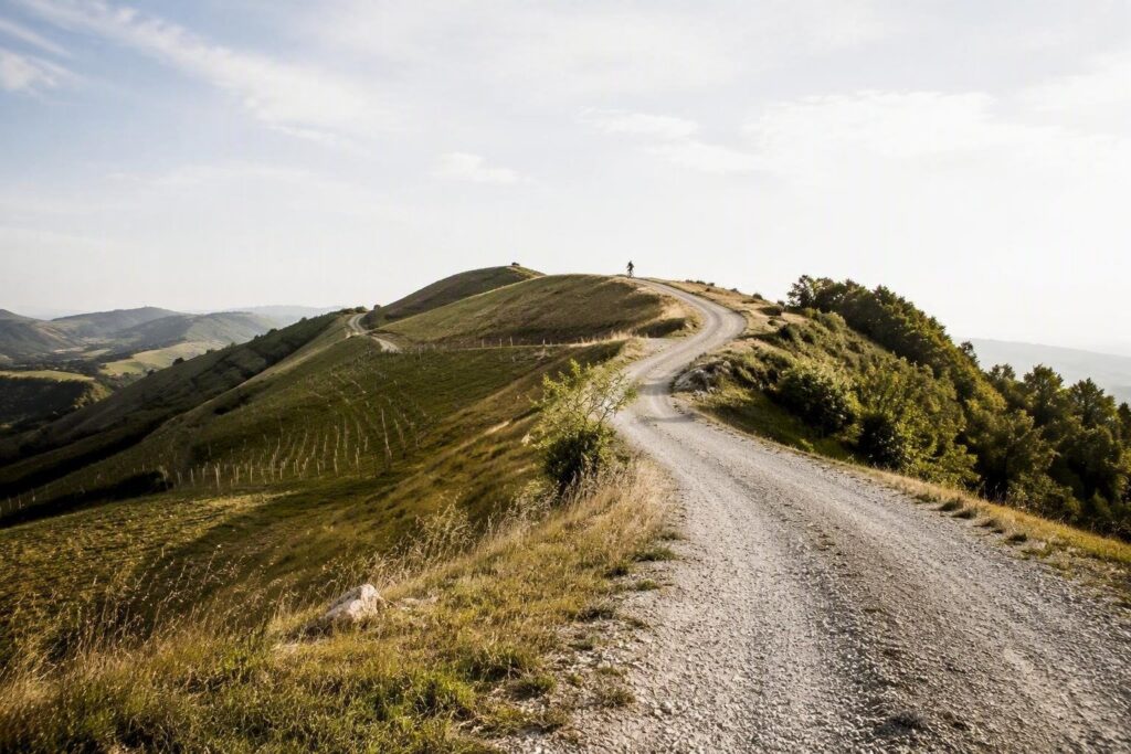 Percorsi permanenti sui colli bolognesi per corsa e bici