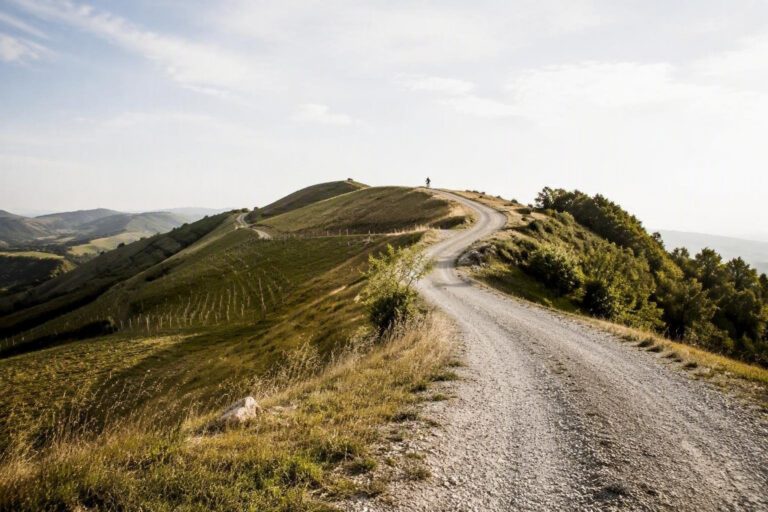 Percorsi permanenti sui colli bolognesi per corsa e bici