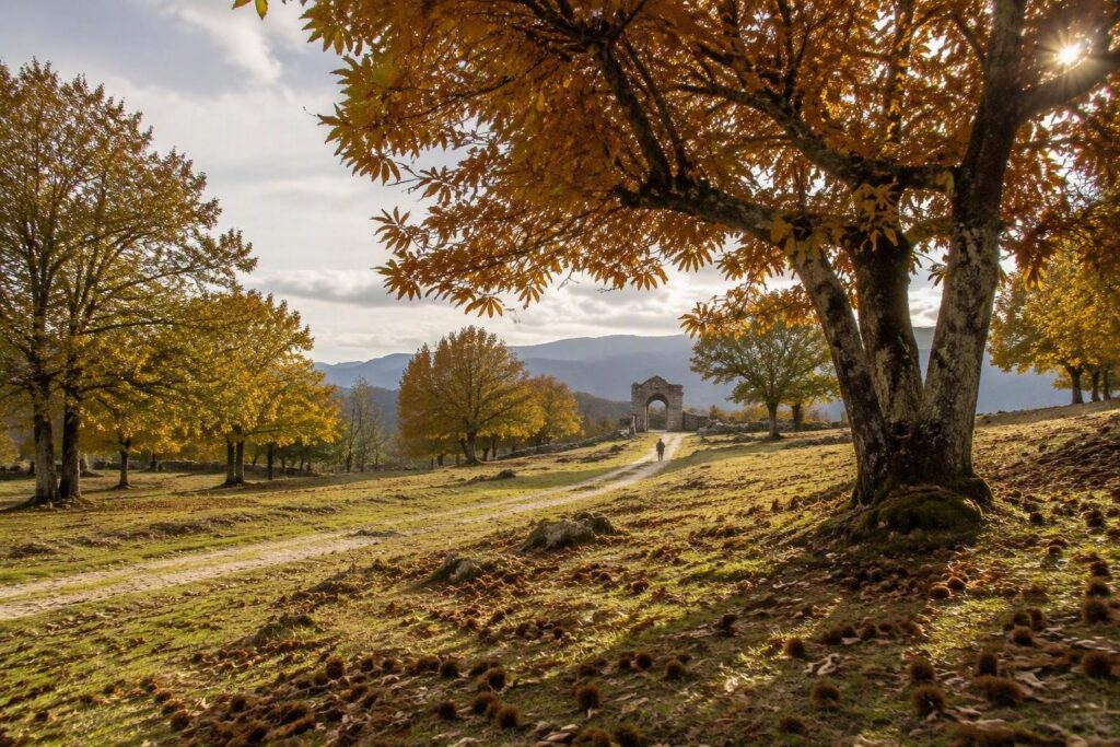 Calendario ottobre 2026: castagne, uva e specialità enogastronomiche in Lazio