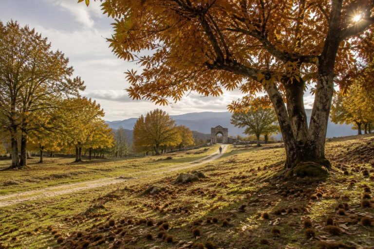 Calendario ottobre 2026: castagne, uva e specialità enogastronomiche in Lazio