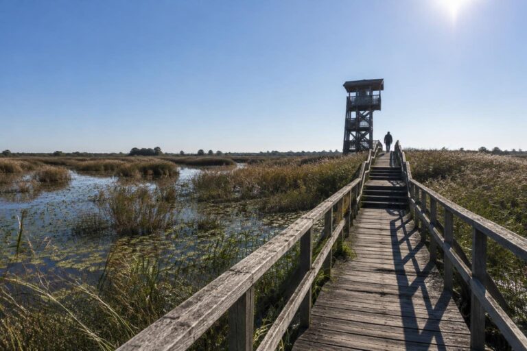 Torretta panoramica di Vallesanta: un nuovo sguardo sul Delta del Po