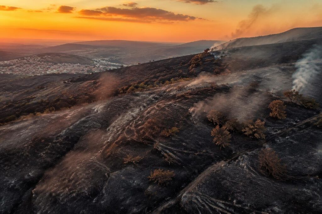 Incendio a Campobasso: le fiamme lambiscono le case sulla collina Monforte
