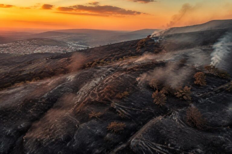 Incendio a Campobasso: le fiamme lambiscono le case sulla collina Monforte