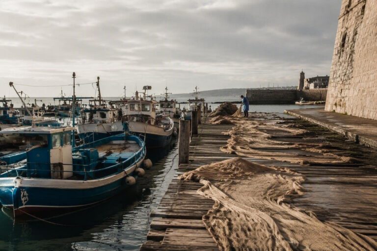 La Sagra del pesce di Termoli: un viaggio tra i piatti della marineria locale