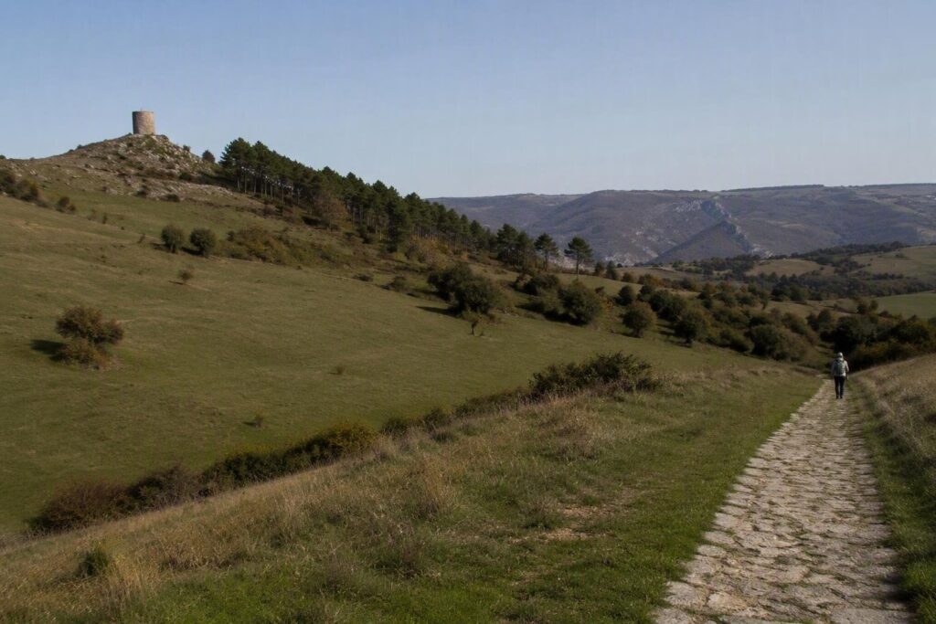 Notte di San Lorenzo in Molise: dove vedere le stelle vicino Campobasso