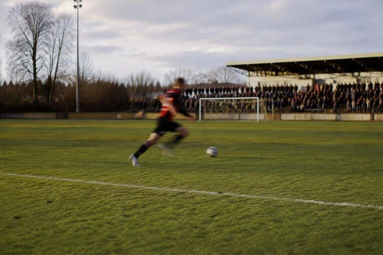 Calciomercato Serie C: i nuovi volti del Campobasso F.C.