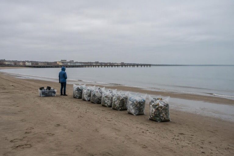 Campobasso, Termoli e Isernia al centro delle pulizie di fine settembre