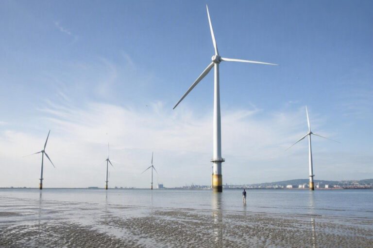 Corso post-laurea in Off-Shore Energy Transition con borse per candidati del Molise