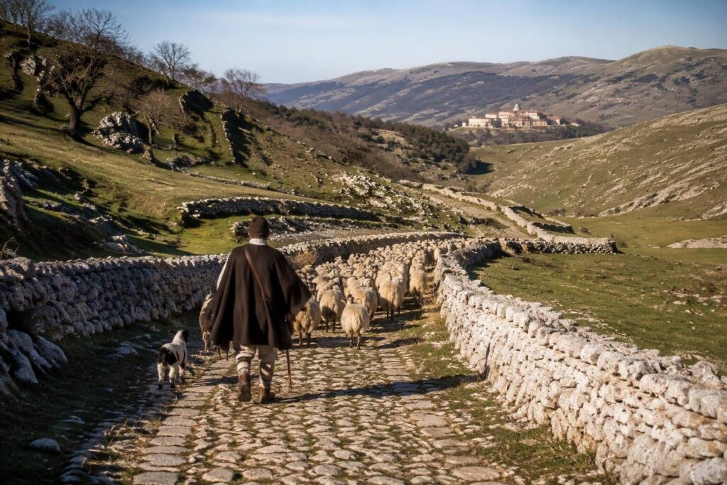 Transumanza e pastoralismo: dibattito globale a Campobasso