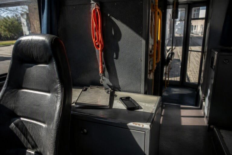 Trasporto pubblico a Termoli: aggressione a un conducente per il trasporto di un cane
