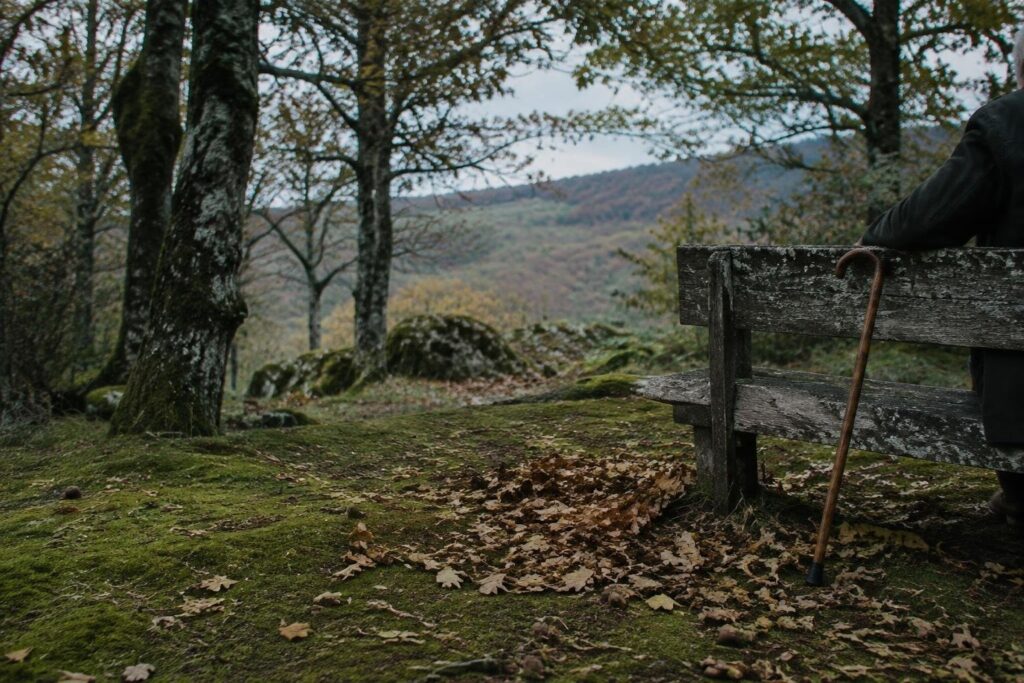 Cinque incontri autunnali a Bosco Faiete per persone con Alzheimer