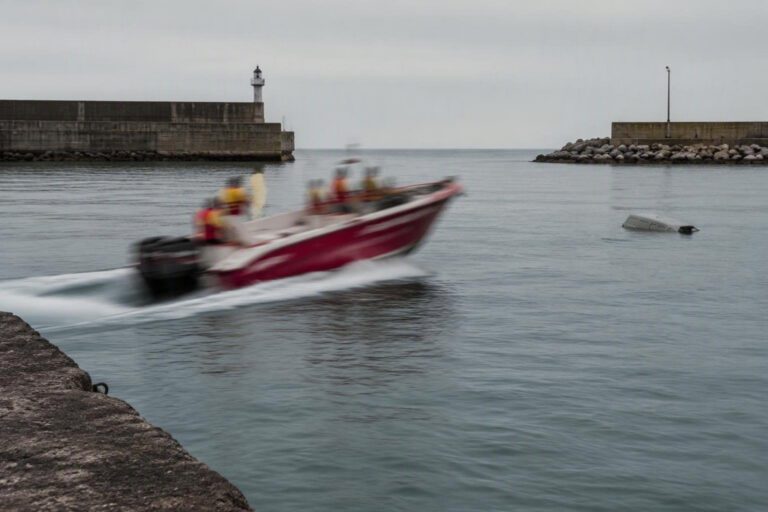 Incidente marittimo a Termoli: furgone affonda e uomo perde la vita