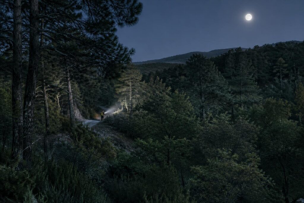 Operazione di soccorso notturna per quattro escursionisti a Bosco Faiete
