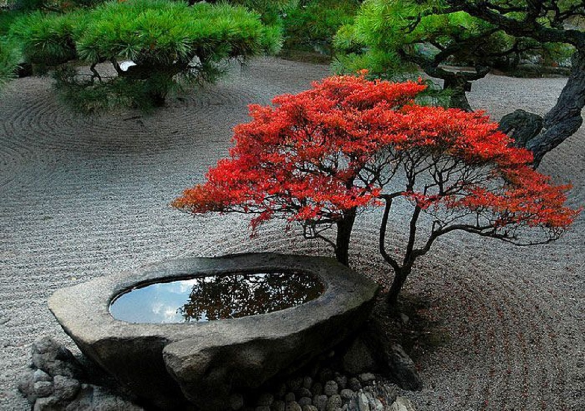 giardino zen fai fai da te facile