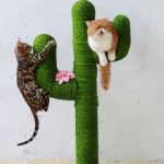 Tiragraffi fai da te per gatti