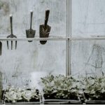 Orto domestico cosa piantareOrto domestico cosa piantare