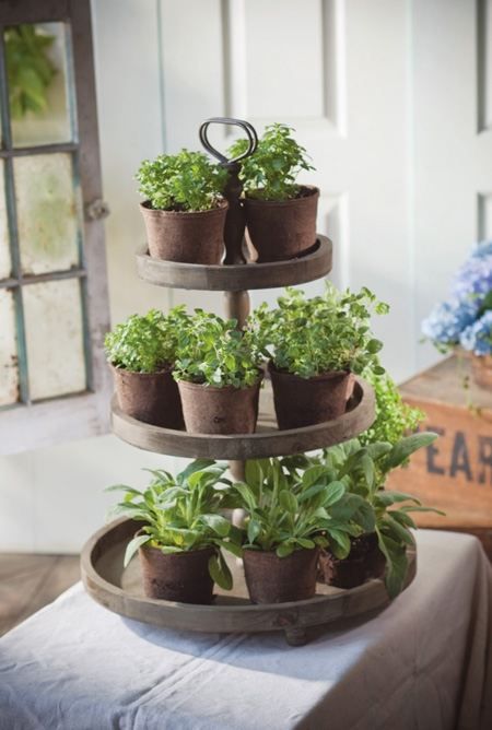giardino con erbe aromatiche in casa 12