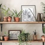 giardino con erbe aromatiche in casa