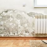 Come pulire la muffa dai muri in modo naturale