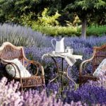 giardino stile provenzale