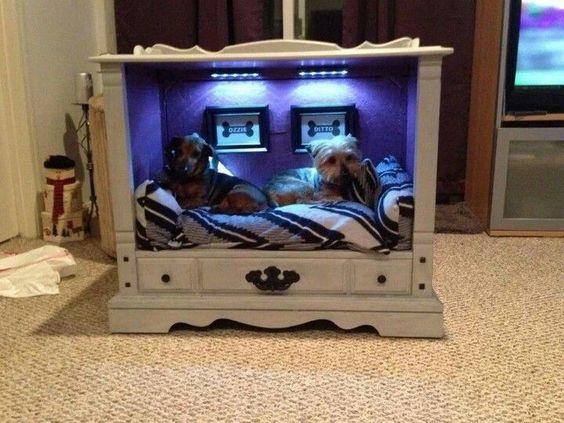 angolo per il cane fai da te