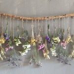 Fiori secchi