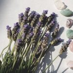 cura dei fiori