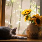 Tendenze floreali per l'autunno