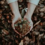 lavori di giardinaggio più soddisfacenti