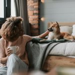 Prodotti per la pulizia della casa sicuri per gli animali domestici