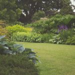giardino sostenibile