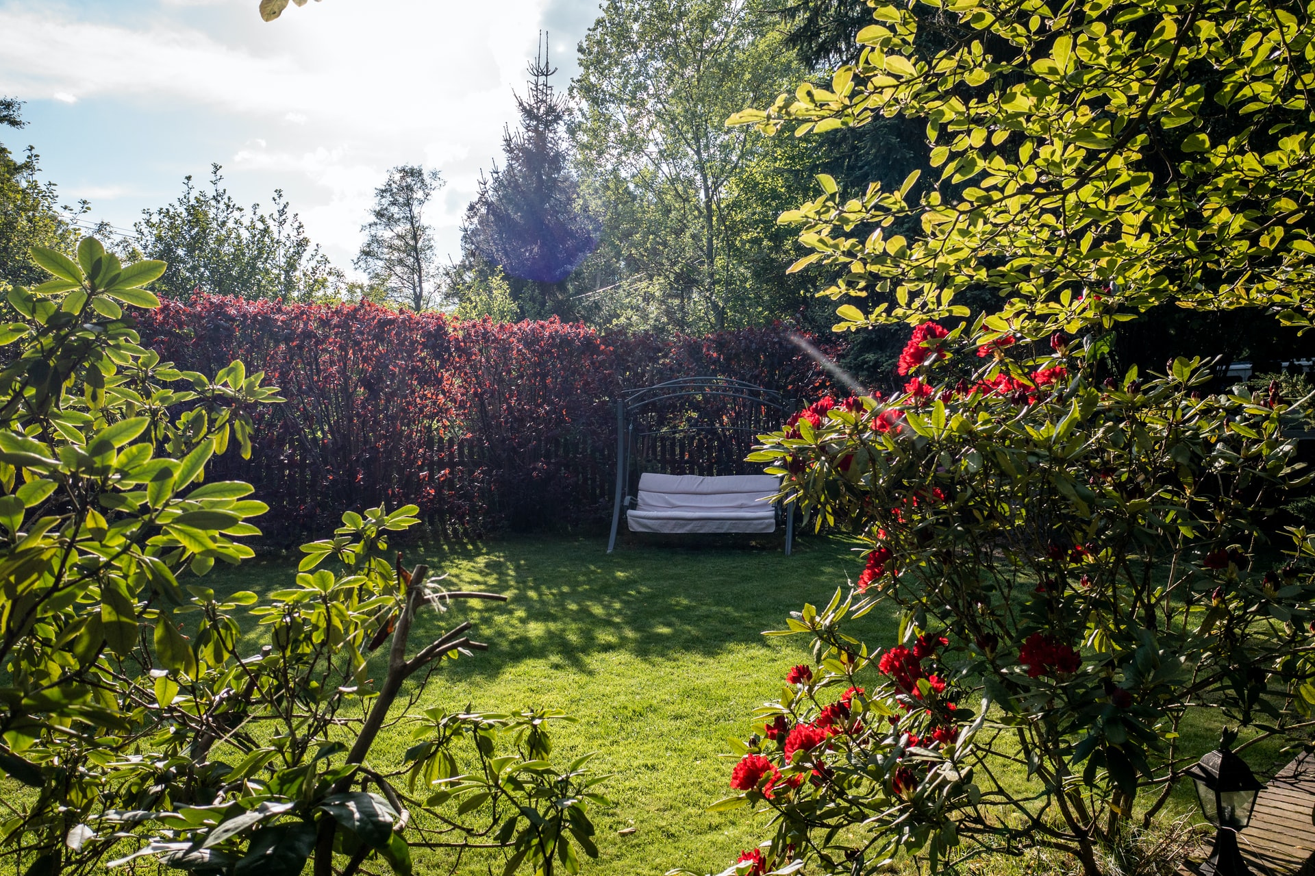 come prendersi cura del giardino in estate