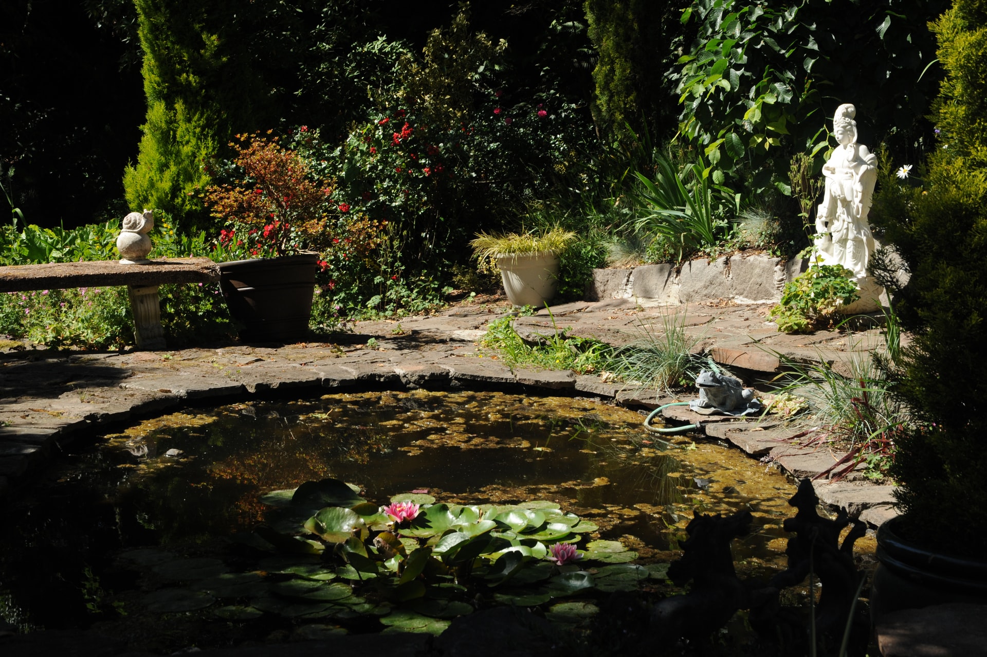 Laghetto da giardino bordatura