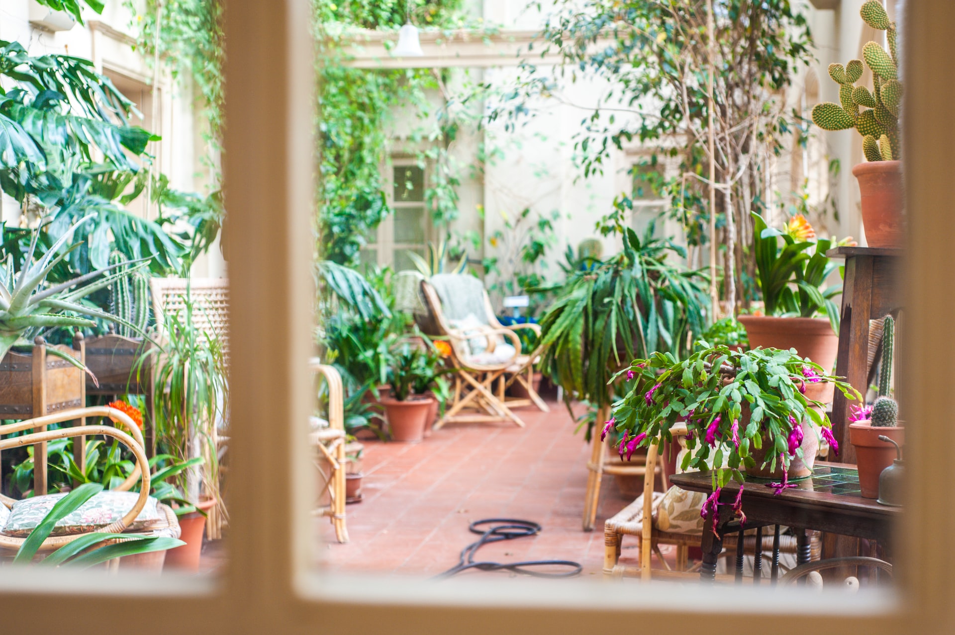 Orto sul balcone di casa