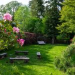creare un giardino meraviglioso