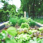 giardino urbano