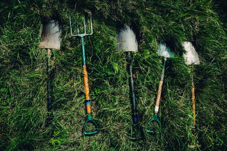 pulire gli attrezzi da giardino