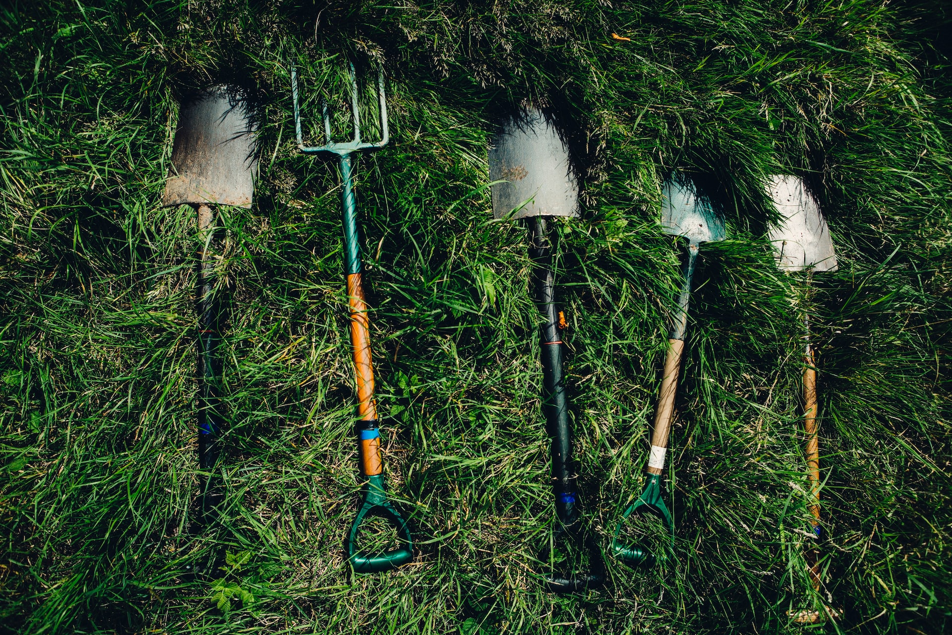 pulire gli attrezzi da giardino