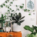 Lampade per coltivazione