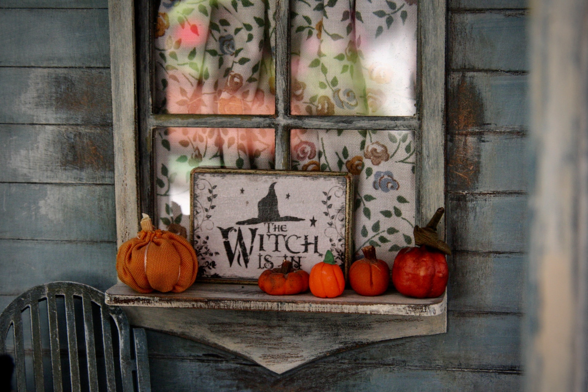 piante da appartamento halloween
