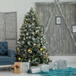 Alberi di Natale veri
