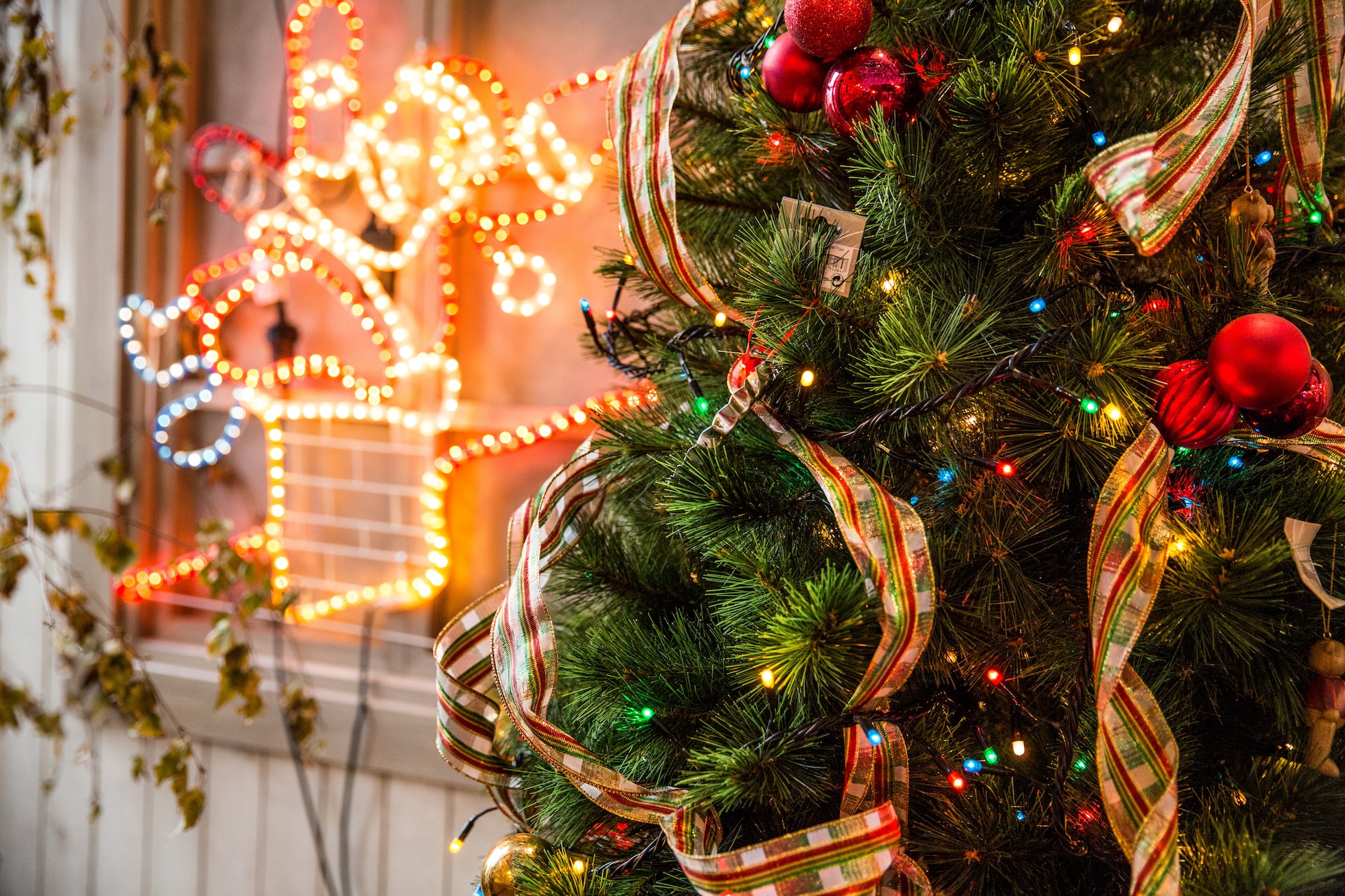 Albero di Natale vero o artificiale cosa scegliere