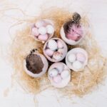 centrotavola di pasqua fai da te
