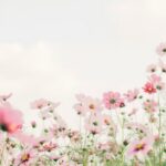 tomoko uji kxvn1ogptte unsplash