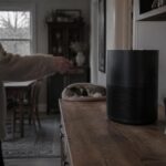 Guida al purificatore d’aria per case con animali