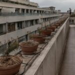 Irrigazione efficiente in caldo: orari, tecniche e mulching