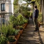 Guida pratica per un giardino in balcone funzionale