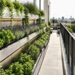 Balcone verde in città: guida pratica e sicura