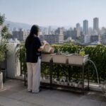 Balcone verde urbano: piante resistenti e layout modulari